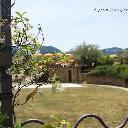 Agriturismo Signorini *
