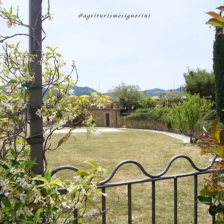 Agriturismo Signorini * Orciatico