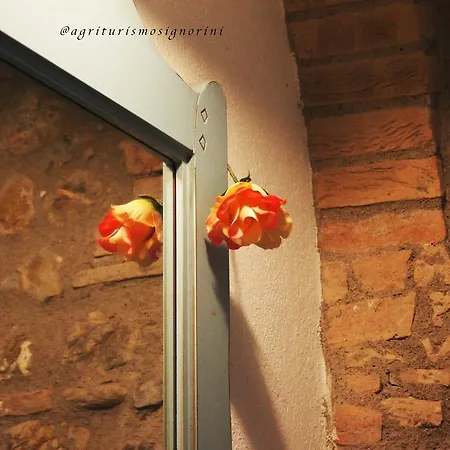 Farm stay Agriturismo Signorini
