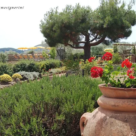 Agriturismo Signorini Orciatico