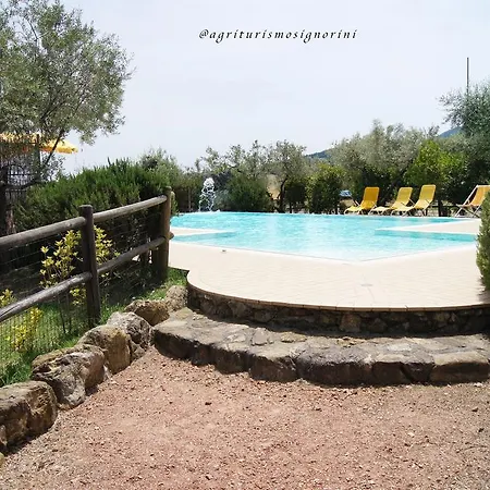 Farm stay Agriturismo Signorini Orciatico