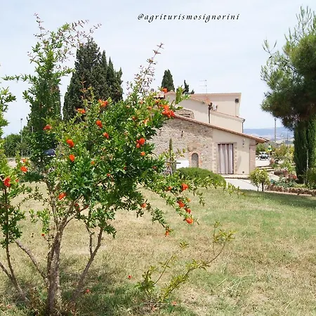 Agriturismo Signorini Farm stay Orciatico