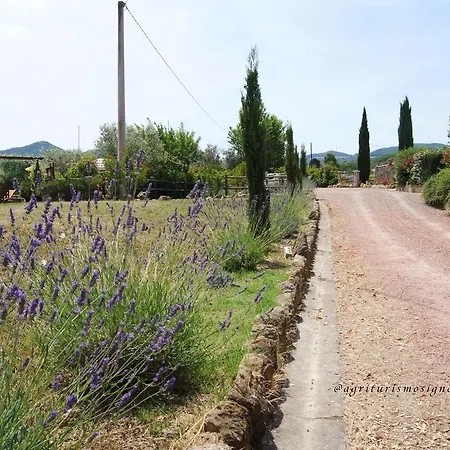 Agriturismo Signorini