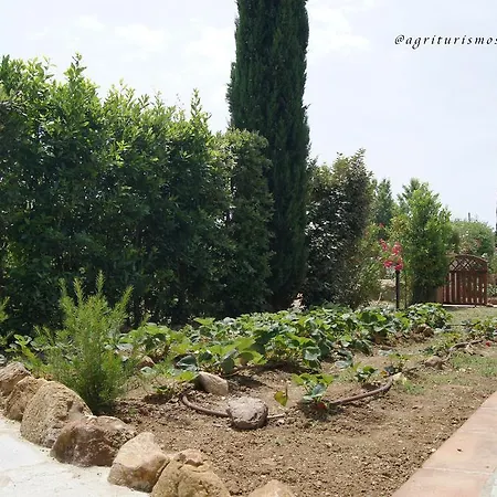 Farm stay Agriturismo Signorini