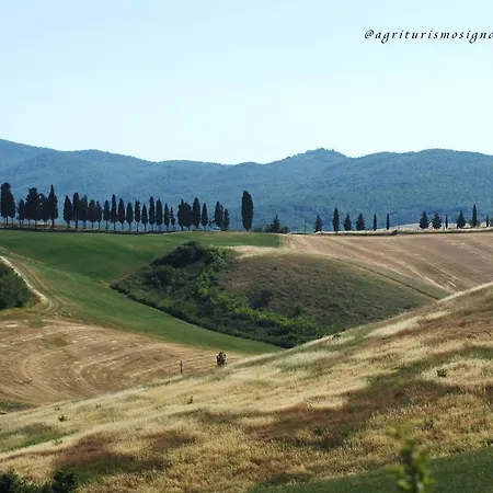 Agriturismo Signorini Farm stay
