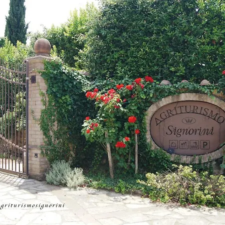 Farm stay Agriturismo Signorini Orciatico