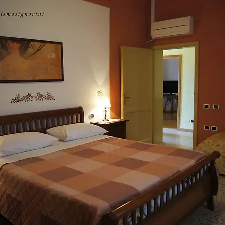 Signorini * Orciatico