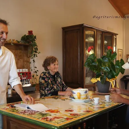 Alojamento de Turismo Rural Signorini Orciatico