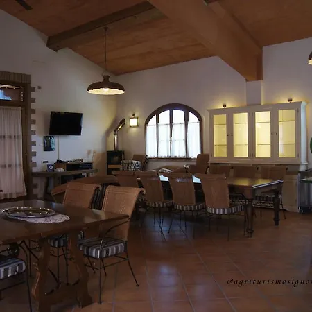 Signorini * Orciatico