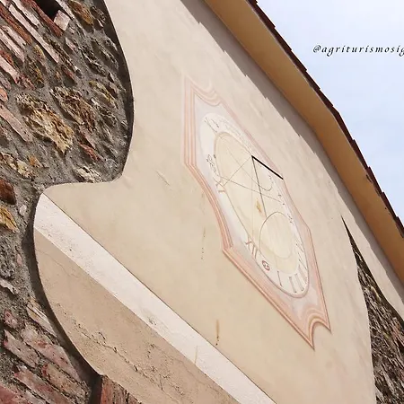 Signorini * Orciatico
