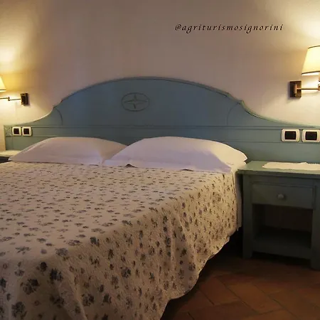 Signorini