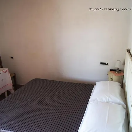 Signorini Alojamento de Turismo Rural