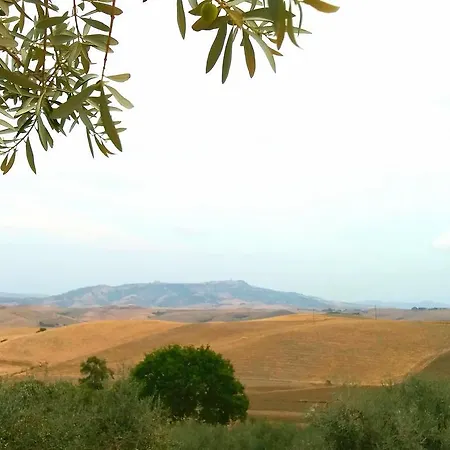 Signorini Orciatico